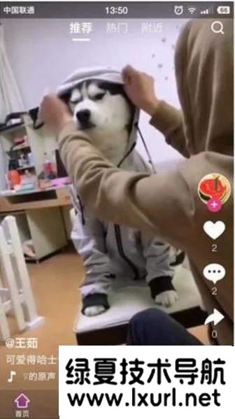 【云豹二開】2021年最新云豹二開完整源碼/直播/短視頻/帶教程/帶開發(fā)文檔
